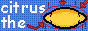 [ Citrus Badge ]